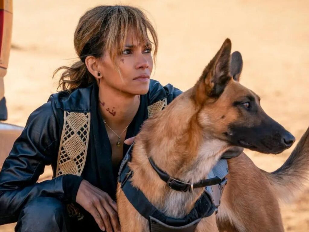 Halle Berry pode retornar ao universo de John Wick com spin off de Sofia Al Azwar 6IuzUJ