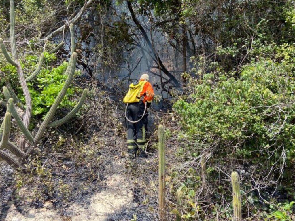 Incendio criminoso e contido no Parque das Dunas 2