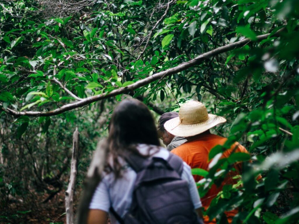 Parque Mata da Pipa entre os melhores destinos verdes do mundo