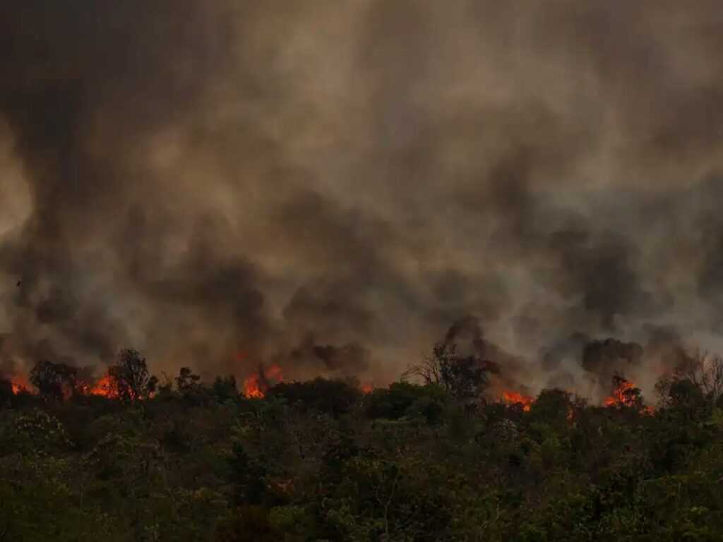 Brasil enfrenta aumento de 150% nas áreas queimadas em 2024, com foco na Amazônia e Cerrado