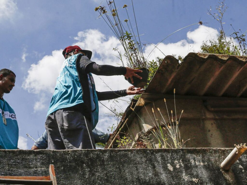 DF promove dia de combate à dengue para eliminar focos do Aedes aegypt