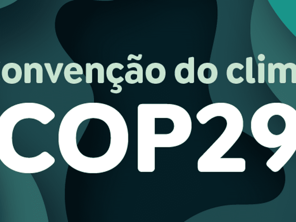 Jovens do Sul Global ganham voz ao terem delegação na COP 29